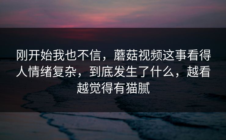 刚开始我也不信，蘑菇视频这事看得人情绪复杂，到底发生了什么，越看越觉得有猫腻