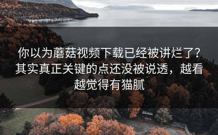 你以为蘑菇视频下载已经被讲烂了？其实真正关键的点还没被说透，越看越觉得有猫腻