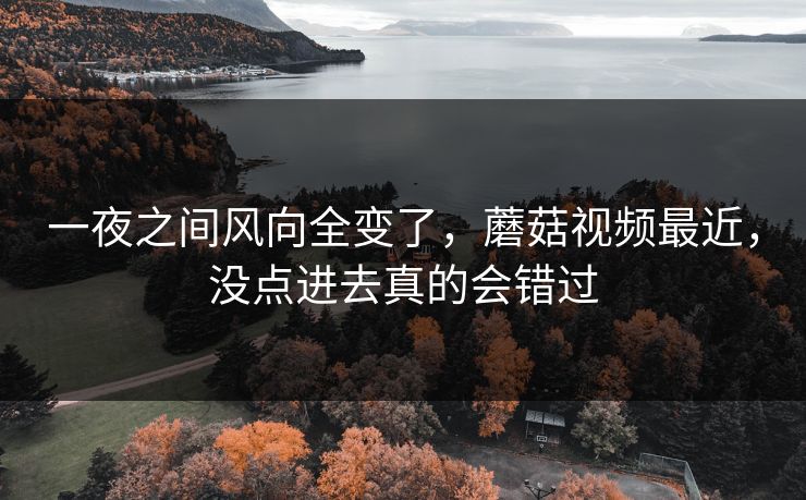 一夜之间风向全变了，蘑菇视频最近，没点进去真的会错过