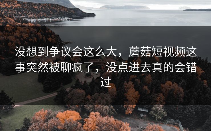 没想到争议会这么大，蘑菇短视频这事突然被聊疯了，没点进去真的会错过