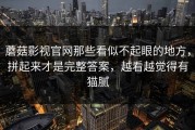 蘑菇影视官网那些看似不起眼的地方，拼起来才是完整答案，越看越觉得有猫腻
