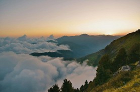 说实话有点上头，蘑菇影视在线观看突然被聊疯了，难怪最近搜的人这么多