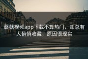 蘑菇视频app下载不算热门，却总有人悄悄收藏，原因很现实