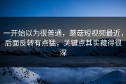 一开始以为很普通，蘑菇短视频最近，后面反转有点猛，关键点其实藏得很深