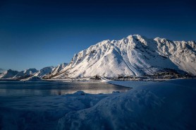 蘑菇视频app下载不算热门，却总有人悄悄收藏，原因很现实