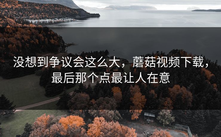 没想到争议会这么大，蘑菇视频下载，最后那个点最让人在意