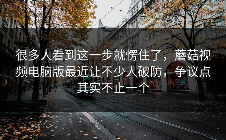 很多人看到这一步就愣住了，蘑菇视频电脑版最近让不少人破防，争议点其实不止一个