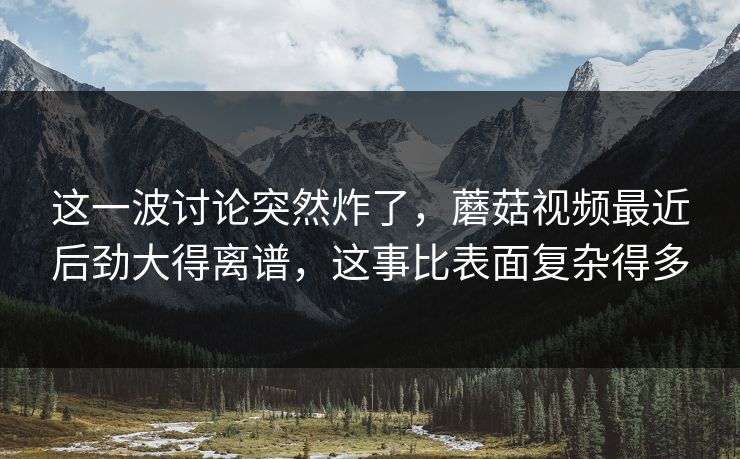 这一波讨论突然炸了，蘑菇视频最近后劲大得离谱，这事比表面复杂得多