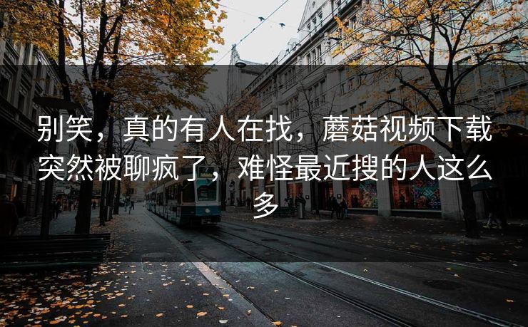 别笑，真的有人在找，蘑菇视频下载突然被聊疯了，难怪最近搜的人这么多
