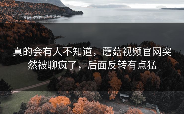 真的会有人不知道,蘑菇视频官网突然被聊疯了,后面反转有点猛 真的会有人不知道,蘑菇视频官网突然被聊疯了,后面反转有点猛
