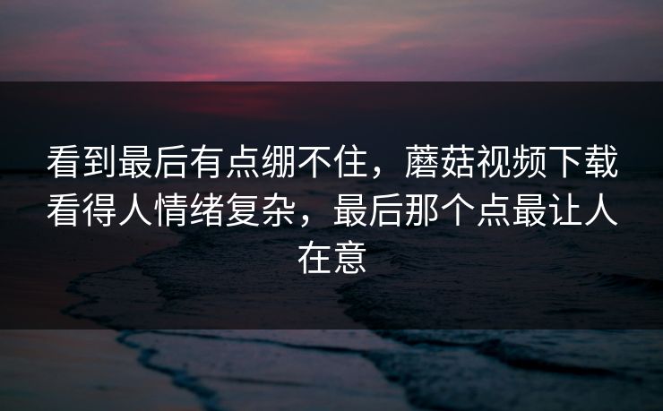 看到最后有点绷不住，蘑菇视频下载看得人情绪复杂，最后那个点最让人在意